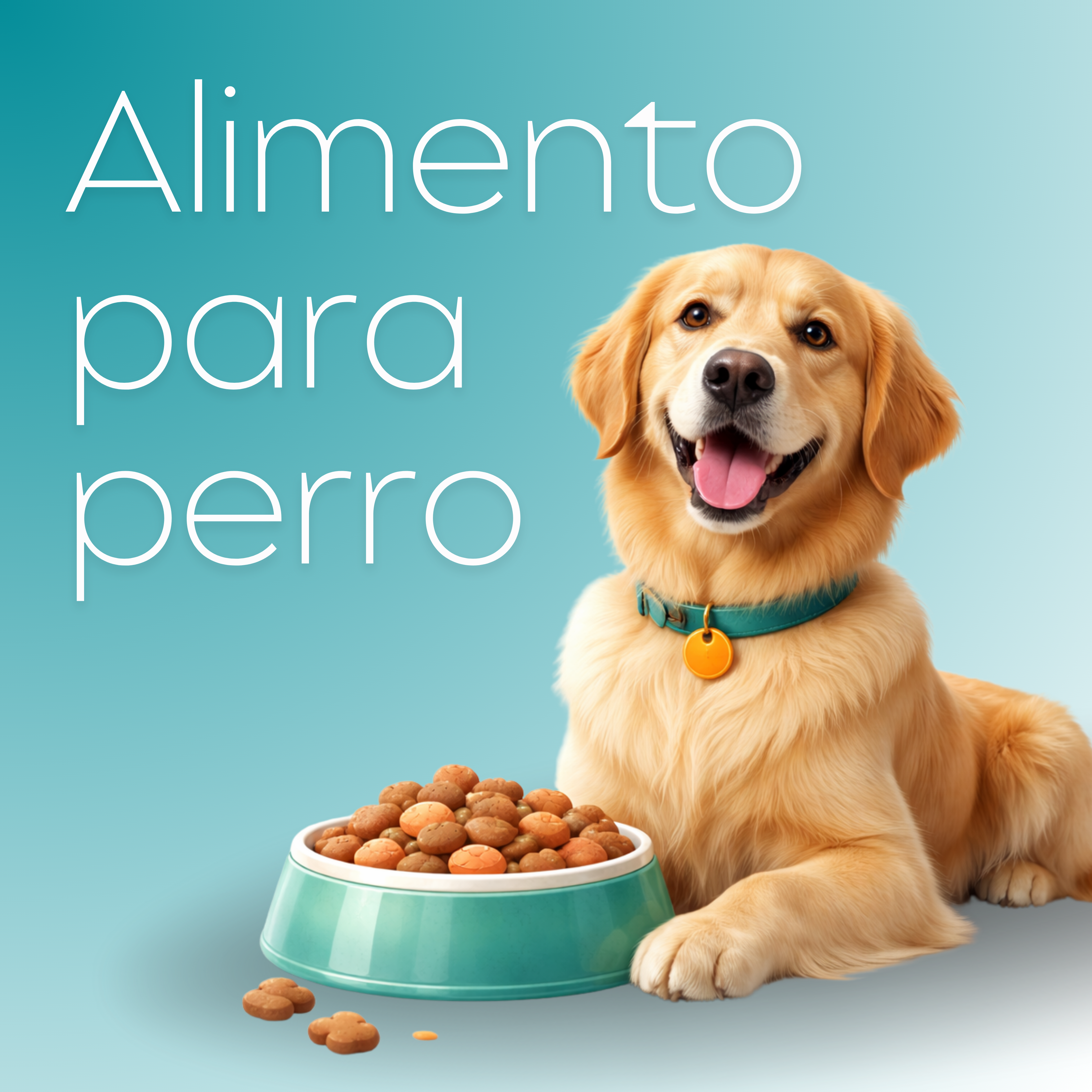 Alimento Perros