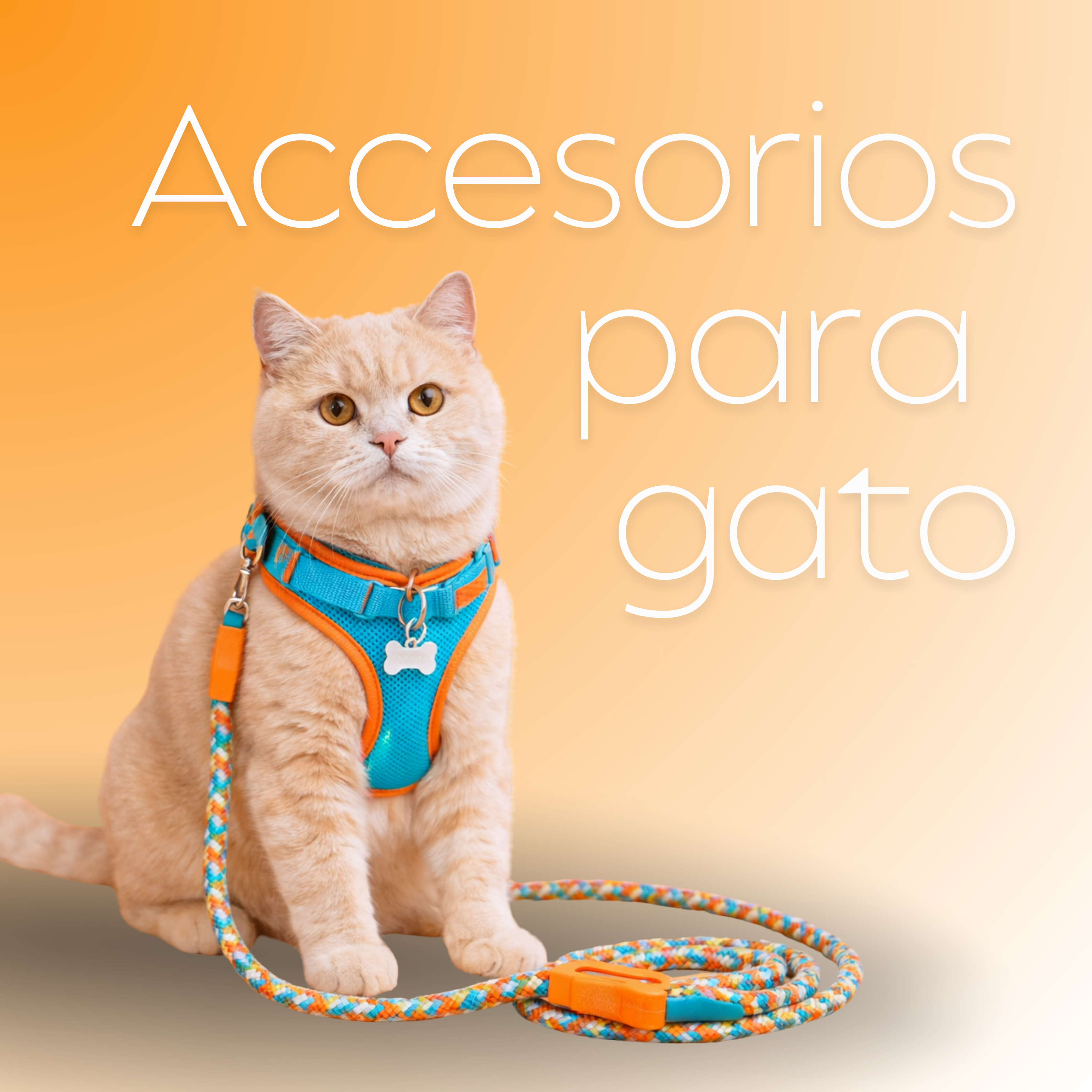 Accesorios Gatos