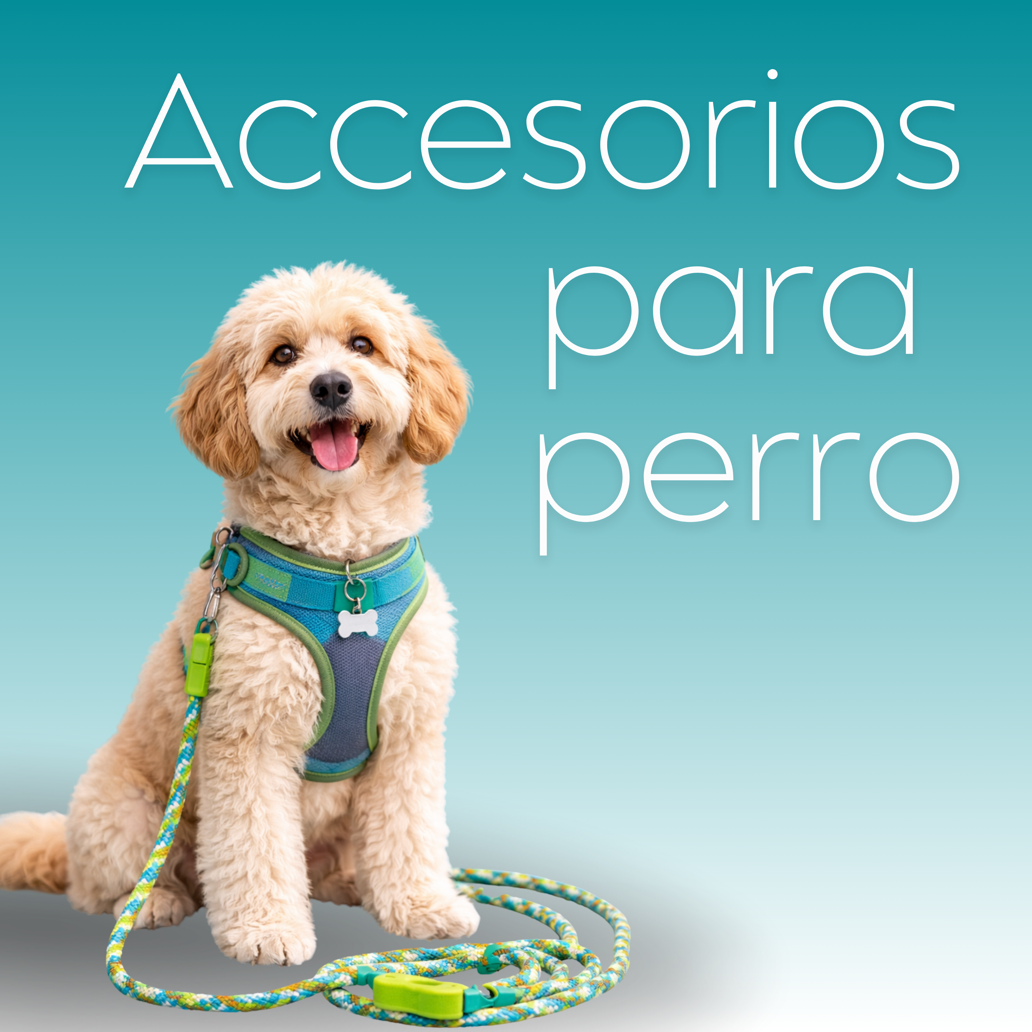 Accesorios Perros