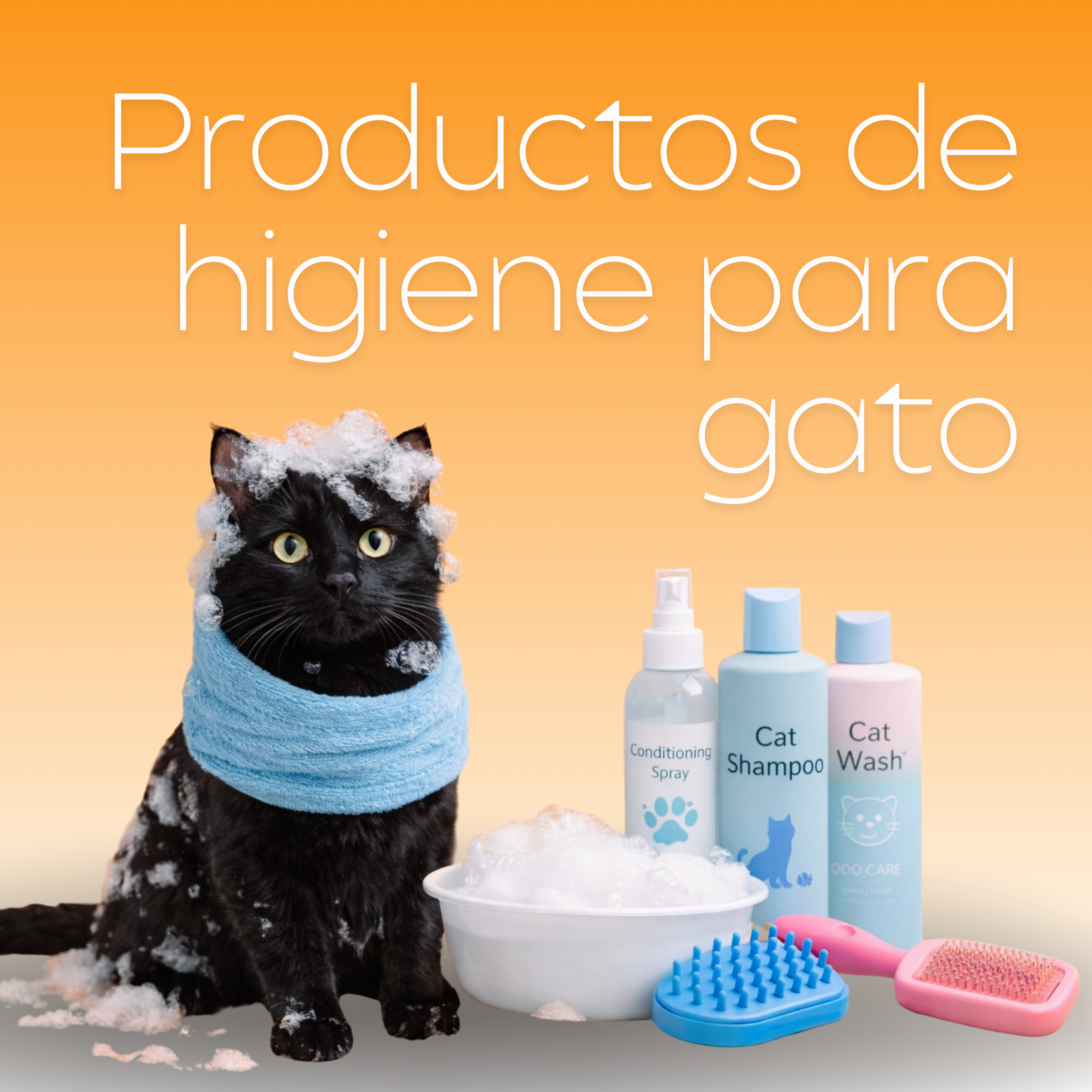 Higiene Gatos