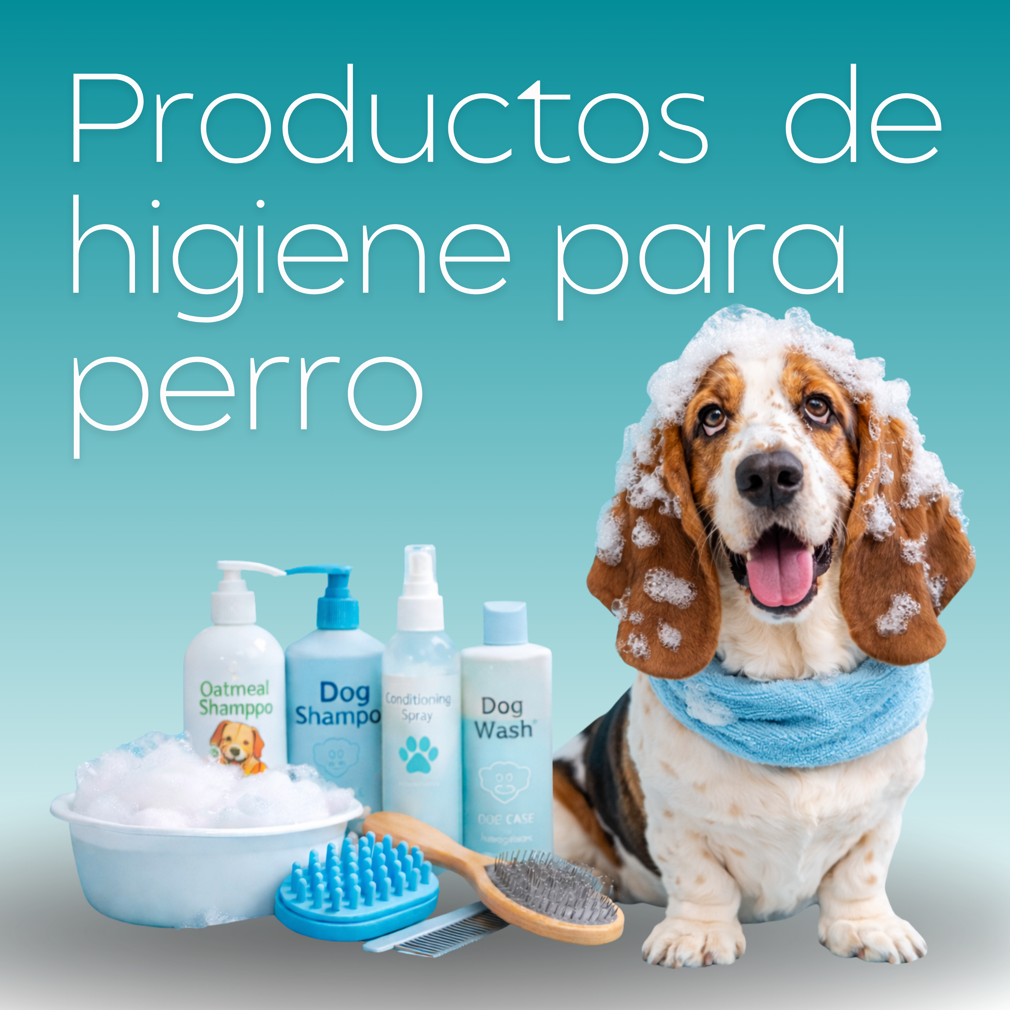 Higiene Perros