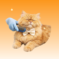 Grooming Servicio Premium para Gato