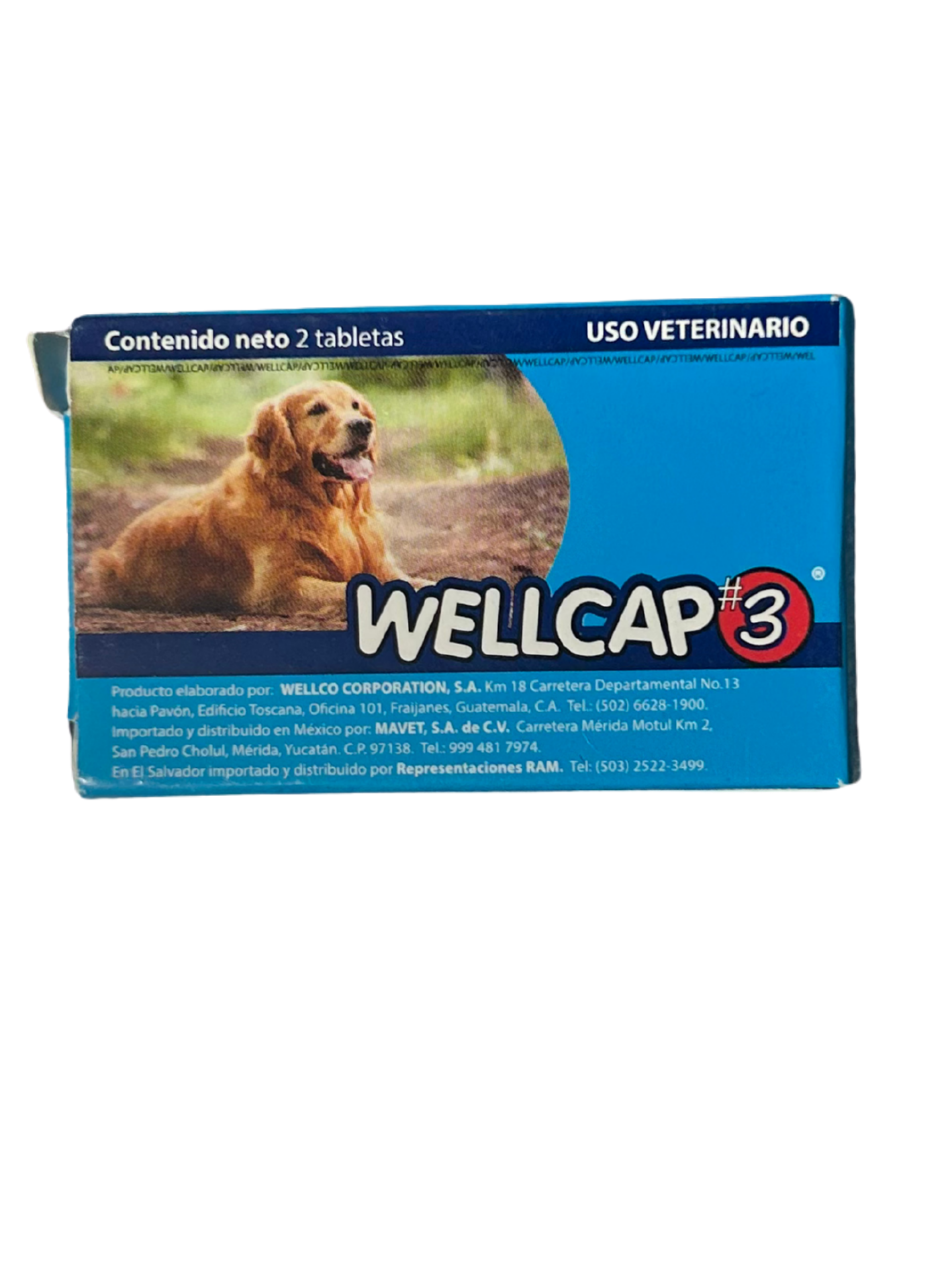 Wellcap #3 Desparasitante (100 tabletas)