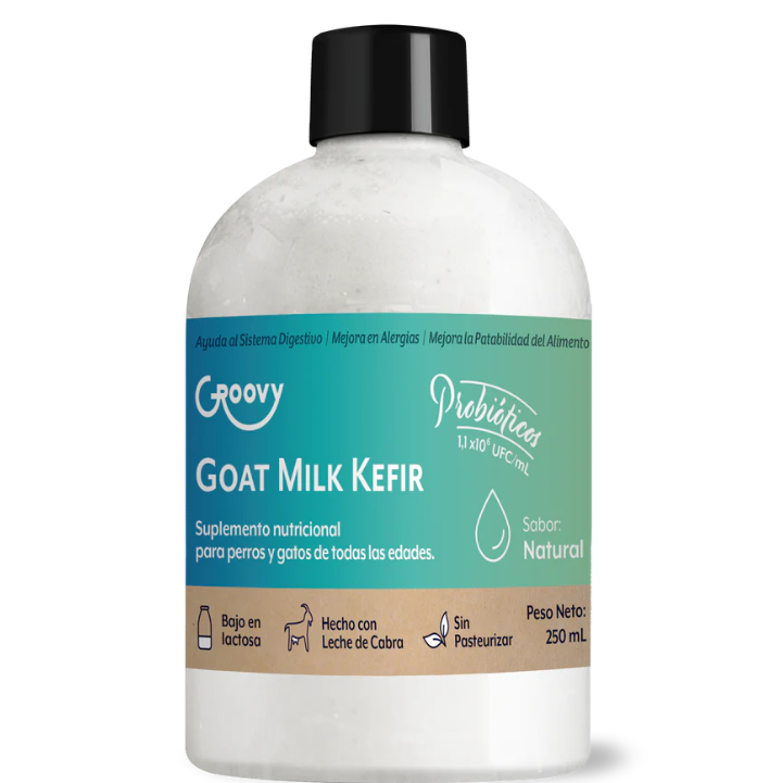 Groovy Yogurt Kefir de Cabra 250 g
