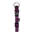 Zeus Collar de Nylon Morado Talla Large