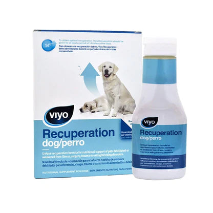 Viyo Recuperacion para Perro 150 mL