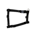 Zeus Arnes Tipo H Negro Large 2 cm x 45‚Äì70 cm