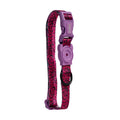 Zee.Dog Collar Brain para Perro Talla Small