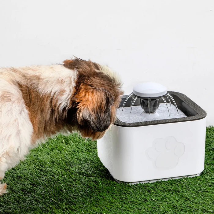 Fuente para Perros y Gatos de 2.5 L