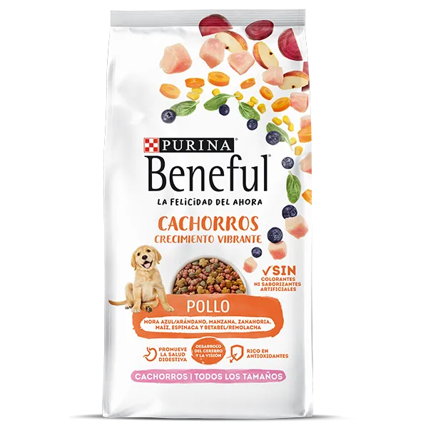 Purina Beneful Cachorro Saludable Pollo 2 kg
