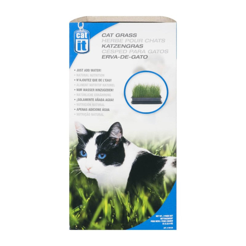 CatIt Zacate para Gatos